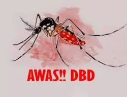 Waspada DBD di Musin Hujan, Dinkes Butur Catat 29 Kasus Warga Dihimbau Lakukan Pola 3M