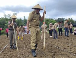 Dinas Pertanian-Polres Butur Sukseskan Penanaman  Jagung 1 Juta Hektare Serentak Seluruh Indonesia 