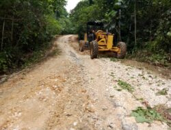 Perbaikan Ruas Jalan Rusak Wamboule–Wantulasi Dimulai 