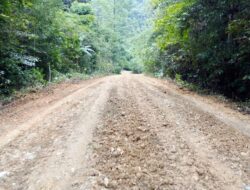 Pemkab Butur Usul Program IJD, Perbaikan Ruas Jalan Rusak di Kulisusu Utara-Wakorumba