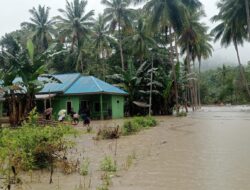 Buton Utara Dilanda Banjir, 451 Rumah Warga Terendam dan Satu Jembatan Penghubung Rusak