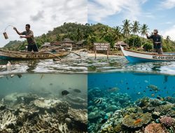 Menjaga Denyut Nadi Perairan Buton Utara: Ambang Batas Eksploitasi dan Tuntutan Kelestarian Ekosistem